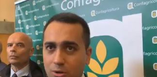DI MAIO “SERVE PACE POLITICA”