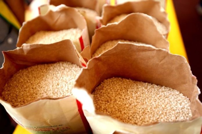 expo-risotto-record-1