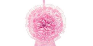 A PALERMO E CATANIA LE PRIME NASCITE