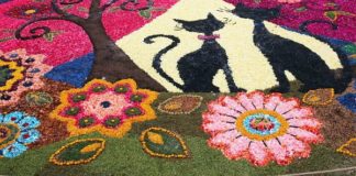 “TORTOLÌ IN FIORE”, PRIMAVERA NEL CUORE DELL’OGLIASTRA