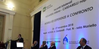 SANITÀ DE LUCA “INTESA MILANO-NAPOLI”