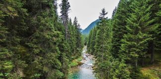 MAPPA PER RIFORESTARE 0,9 MILIARDI ETTARI TERRENI