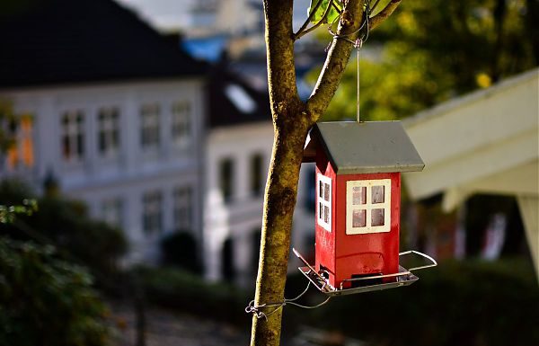 FIAIP “IN BOZZA PROGRAMMA GOVERNO NO INTERVENTI SETTORE IMMOBILIARE”