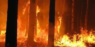 E.ROMAGNA: INCENDI BOSCHIVI, ATTIVA FASE ATTENZIONE