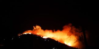 INCENDIO NEL PALERMITANO, DECINE DI SFOLLATI