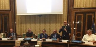 CAMPANIA, UN PIANO PER LA NOCCIOLA GIFFONI IGP