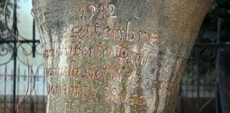 MAFIA E MEMORIA, UN’INSTALLAZIONE PER PALERMO