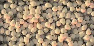 A MILANO CASSONETTI “INTELLIGENTI” PER LAMPADINE