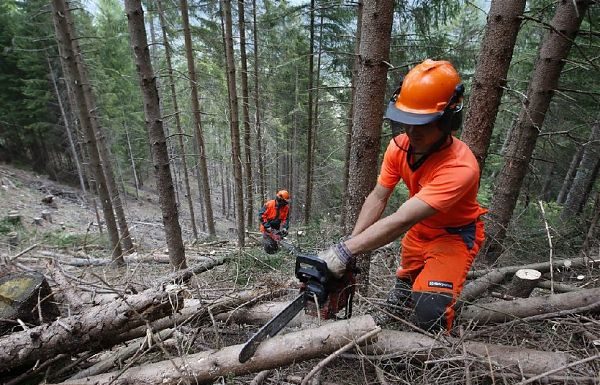 TOSCANA: ACCORDO PER RINNOVO CONTRATTO ADDETTI FORESTALI