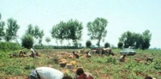 LAVORO, DA “INVISIBILI” -42,6 MLD AL FISCO