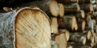 LEGNO, IN LOMBARDIA GRANDI POTENZIALITÀ MA SI RICORRE A IMPORT