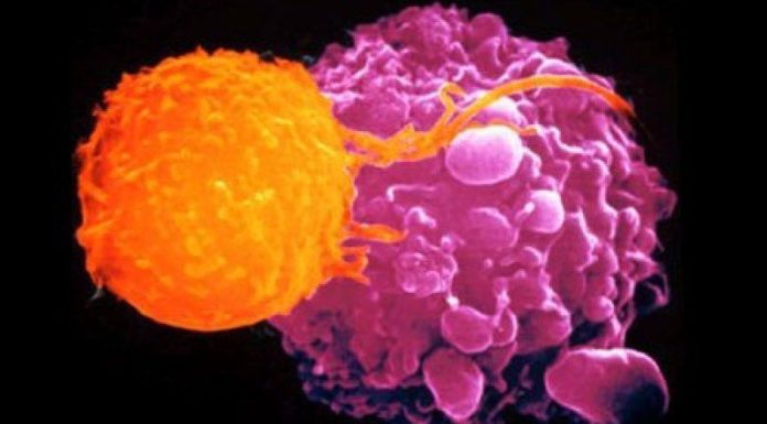 TUMORI, POSSIBILE PREVENZIONE PRECOCE GRAZIE A DNA