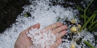 MALTEMPO, COLDIRETTI “MILIONI DI DANNI”