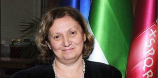 ROMA, SI DIMETTE ASSESSORE ALL’AMBIENTE