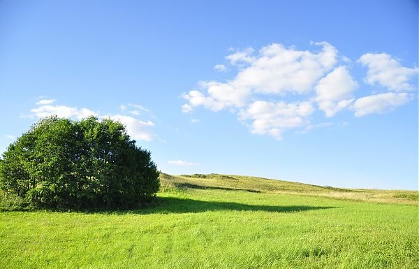 AMBIENTE E PREVENZIONE RISCHI, CONVEGNO A POTENZA