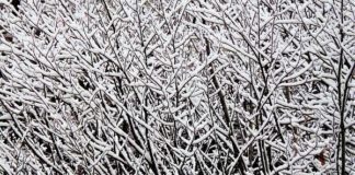 ARRIVA IL GRANDE FREDDO