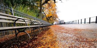 NEW YORK IN AUTUNNO, UNO SPETTACOLO SENZA TEMPO