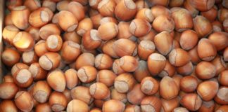 FERRERO LANCIA “PROGETTO NOCCIOLA ITALIA”