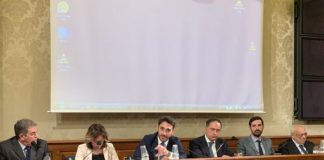 IRTO “VARIA PALMI IMMAGINE POSITIVA NEL MONDO”