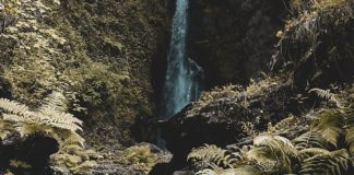 CLIMA, 21 PROGETTI DEL PARCO ASPROMONTE