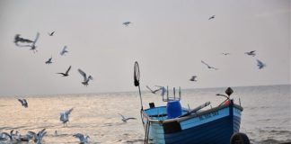 LIGURIA, VIA LIBERA A TESSERINO ELETTRONICO PESCA