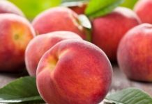 Negli ultimi 20 anni calano le produzioni di mais (-51,2%), pere (-60,6%) e pesche (-40,7%)