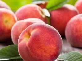 Negli ultimi 20 anni calano le produzioni di mais (-51,2%), pere (-60,6%) e pesche (-40,7%)