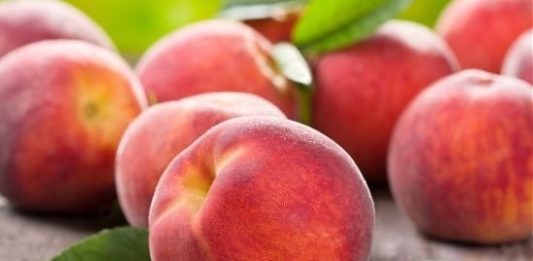 Negli ultimi 20 anni calano le produzioni di mais (-51,2%), pere (-60,6%) e pesche (-40,7%)