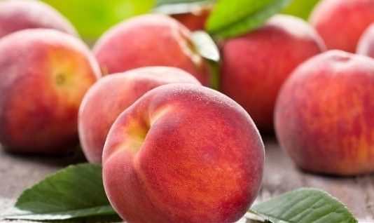 Negli ultimi 20 anni calano le produzioni di mais (-51,2%), pere (-60,6%) e pesche (-40,7%)