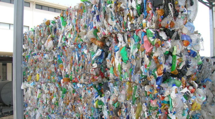 DA COREPLA E LEGAMBIENTE PROGETTO CONTRO IL MARINE LITTER