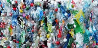 CALABRIA, OK PIANO RIDUZIONE PLASTICA IN MARE