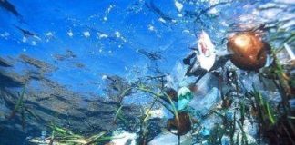 LE SPIAGGE PUGLIESI RESTANO PLASTIC FREE