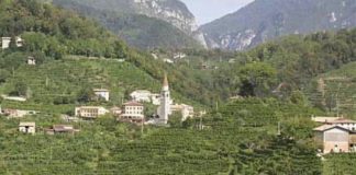 LE COLLINE DEL PROSECCO PATRIMONIO UNESCO