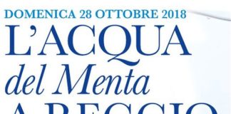 DOPO 30 ANNI ARRIVA L’ACQUA DEL MENTA A REGGIO