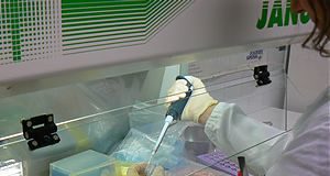 UN ALGORITMO SCOPRE NUOVE CORRELAZIONI TRA GENI