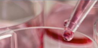 DALL’IMMUNOTERAPIA NUOVE SPERANZE CONTRO IL CANCRO