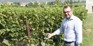 VENDEMMIA, ROLFI “BATTEREMO RECORD DEL 2017”