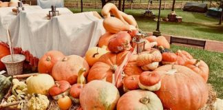 DA CRETONE A SUTRI, LE SAGRE DEL WEEKEND