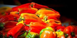 TORNA LA FIERA DEL PEPERONE DI CARMAGNOLA