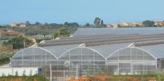 MUORE BRACCIANTE IN NERO NEL NAPOLETANO