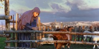 TARQUINIA, IL PRESEPE VIVENTE È UNO SPETTACOLO SORPRENDENTE