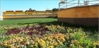 TETTI VERDI IN CITTÀ ANCHE D’INVERNO