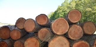 MALTEMPO, DA INTESA SP E FEDERLEGNOARREDO PLAFOND 100 MLN