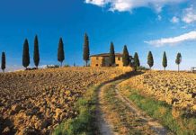 Dal Ministero 109 milioni per favorire il settore tutto l’anno e innovarlo