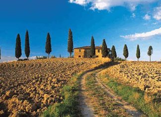 Dal Ministero 109 milioni per favorire il settore tutto l’anno e innovarlo