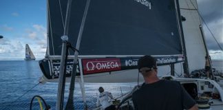 CAMPI CONNESSI ED ECO VELE, IL FUTURO CHE CI ASPETTA