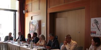 VDA: FSE, 2019 NEL SEGNO DELLA RIPRESA