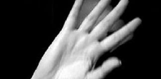 CODICE ROSSO, PRIMO ARRESTO IN ITALIA