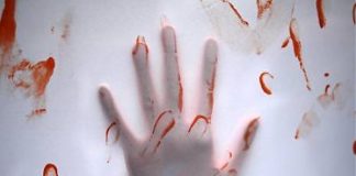 Pari opportunità, dodicesimo rapporto sulla violenza di genere al consiglio regionale della Toscana