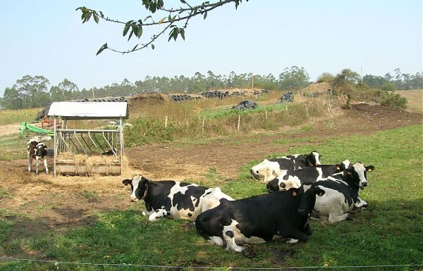 AFFIDATO ALL’ARA PROGRAMMA PREVENZIONE IN ZOOTECNICA